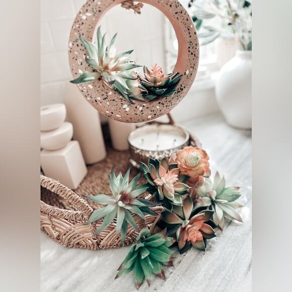 Jungalow lot succulents + terrazzo terracotta hanging circle planter boho home - Picture 4 of 8